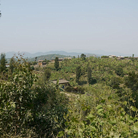 Photo de Rwanda - Gisenyi